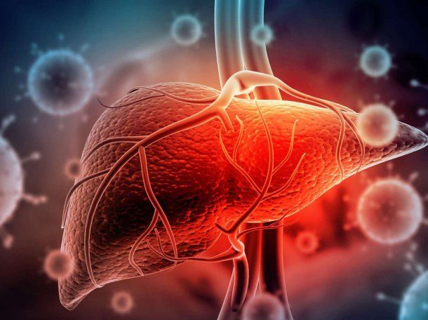 Científicos del CONICET descubrieron que el bloqueo de una proteína reduce la hepatitis fulminante Científicos del CONICET descubrieron que el bloqueo de una proteína reduce la hepatitis fulminante
