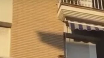 video: un perro salto al vacio tras pasar horas sin agua ni comida en un balcon video: un perro salto al vacio tras pasar horas sin agua ni comida en un balcon