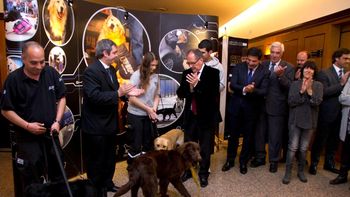 cinco canes de afip dejaran de buscar drogas y ayudaran a chicos autistas cinco canes de afip dejaran de buscar drogas y ayudaran a chicos autistas