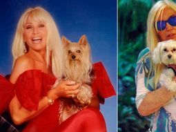 para no extranar a jazmin, susana gimenez pidio prestado un perro en estados unidos para no extranar a jazmin, susana gimenez pidio prestado un perro en estados unidos