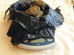 madre entrego a su hijo junto con la droga que vendia madre entrego a su hijo junto con la droga que vendia