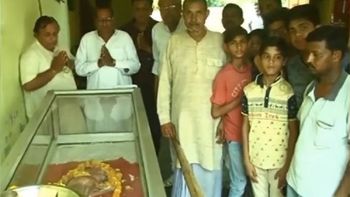 Así veneran a la vaca con cabeza humana Así veneran a la vaca con cabeza humana