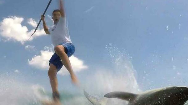Un paddleboarder se defendió de un tiburón que lo tumbó de su tabla