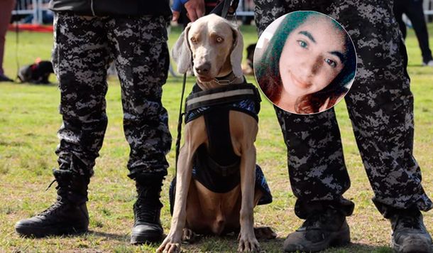 El perro Bruno, clave en la investigación por el crimen de Anahí, buscará a Camila Sotelo