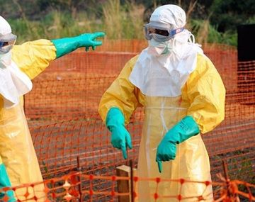 Cómo luchan contra el Ébola las empresas de tecnología