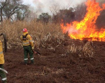 Incendios forestales se producen este viernes en Entre Ríos