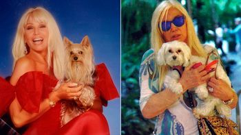 para no extranar a jazmin, susana gimenez pidio prestado un perro en estados unidos para no extranar a jazmin, susana gimenez pidio prestado un perro en estados unidos