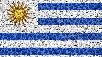 Los gobiernos departamentales y nacional preparan medidas para cuando se acabe el agua bebible en la zona metropolitana uruguaya. Los gobiernos departamentales y nacional preparan medidas para cuando se acabe el agua bebible en la zona metropolitana uruguaya.