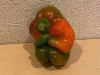Contanos qué ves en esta foto