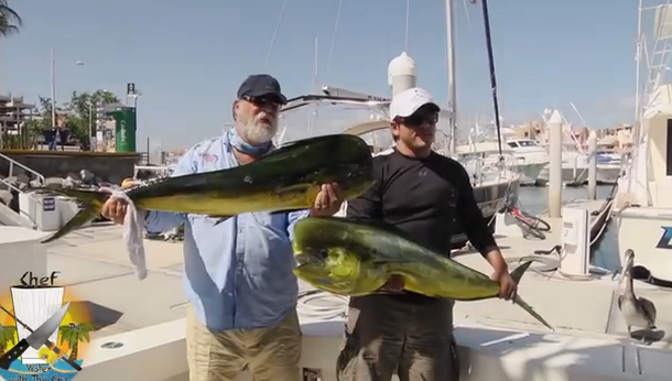 VIDEO: un pescador exhibía su trofeo y un lobo marino se lo robó