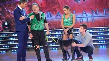 la reaccion de tinelli ante la renuncia de doman al bailando la reaccion de tinelli ante la renuncia de doman al bailando