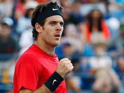 del potro confirmo que jugara la copa davis este mes del potro confirmo que jugara la copa davis este mes