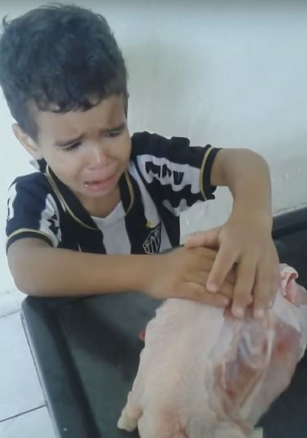 ¿Es vegano? Un nene le pide por favor a la madre que no corte el pollo