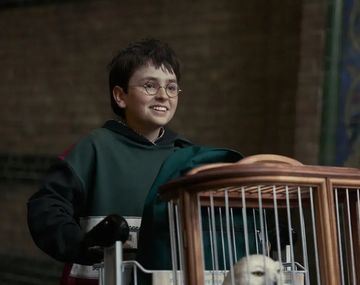 Enterate: cuáles son las cinco razones para ver la nueva serie de Harry Potter