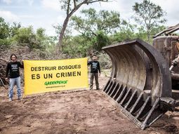 Greenpeace denunció al primo del jefe de Gabinete por desmontes en Salta