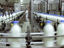 SanCor pidió su quiebra y enfrenta una deuda millonaria. SanCor pidió su quiebra y enfrenta una deuda millonaria.