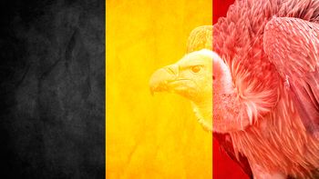 belgica aprobo una ley para frenar a los fondos buitre belgica aprobo una ley para frenar a los fondos buitre