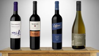 Los cuatro aportes argentinos Los cuatro aportes argentinos