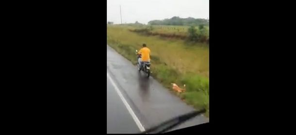 Imputan a un hombre por arrastrar a un perro por la ruta con su moto