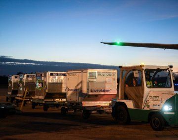 Argentina superará este lunes las 20 millones de vacunas