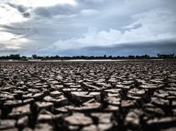 La sequía, un factor determinante para un mal año del sector agropecuario. La sequía, un factor determinante para un mal año del sector agropecuario.