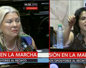 Carrió acusó a los diputados agredidos por Gendarmería de atropellar a la fuerza y estalló Donda