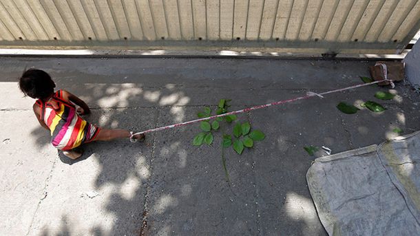 Atan a su pequeña hija a una piedra mientras trabajan