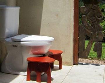 ¿Cuál es la mejor forma de usar el inodoro?