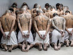 Experto criticó el aumento de penas previsto en la reforma del Código Penal: Salvajismo Experto criticó el aumento de penas previsto en la reforma del Código Penal: Salvajismo