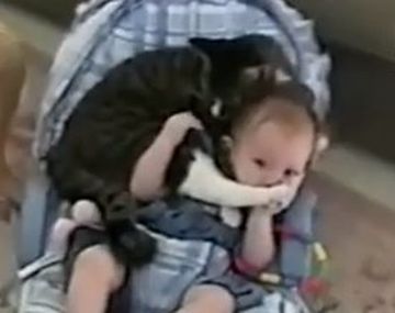 El amor incondicional que se profesan un gato y un bebé