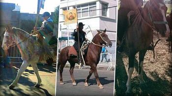 Gentileza portal N3F. Gentileza portal N3F.