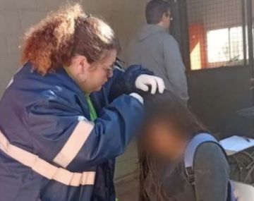 Una mujer atacó a cadenazos a una chica de 14 años en una escuela de Junín
