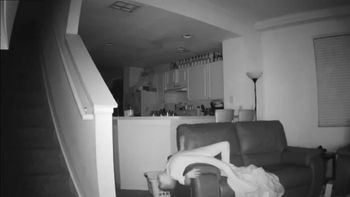 No sabía qué eran los ruidos a la madrugada y puso una cámara para ver qué sucedía No sabía qué eran los ruidos a la madrugada y puso una cámara para ver qué sucedía