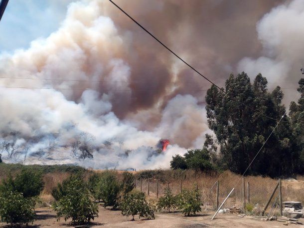 Presentaron en el Congreso un proyecto para endurecer las penas por incendios intencionales