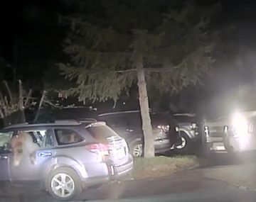 Los sheriffs tuvieron que rescatar al oso curioso que quedó atrapado en el auto