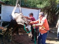 Gentileza portal La Brújula 24. Gentileza portal La Brújula 24.