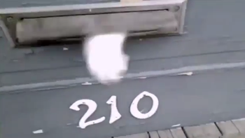 un gato enojado no deja que el cartero haga su trabajo un gato enojado no deja que el cartero haga su trabajo