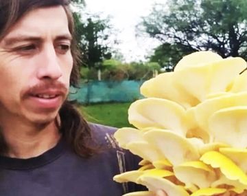 Empezaron a cultivar hongos en su casa para tener una dieta saludable y terminaron vendiendo su producción