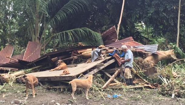 Anciano se negó a dejar sus perros por el huracán Otto