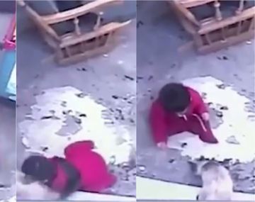 VIDEO: El gato de la familia salvó a un bebé de caerse por las escaleras