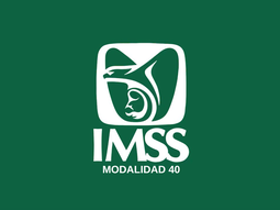 Los cambios en la Modalidad 40 del IMSS en 2026. Los cambios en la Modalidad 40 del IMSS en 2026.