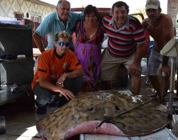 Con una súper raya hacen 80 kg de milanesas