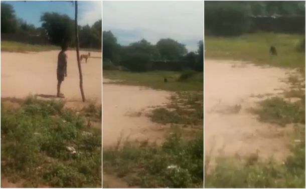 Supuesto duende en Santiago del Estero