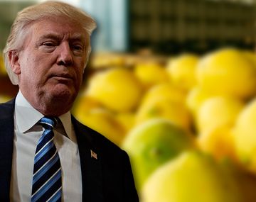 Extienden la suspensión a los limones argentinos por 30 días