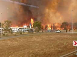 Voraz incendio en los bosques de Cariló y Valeria del Mar Voraz incendio en los bosques de Cariló y Valeria del Mar