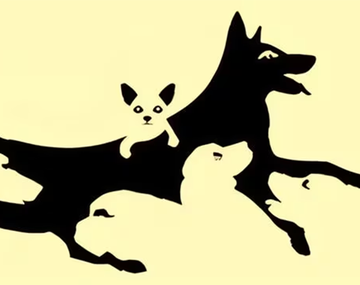 Test viral revela aspectos de tu mente según la cantidad de perros que veas en la imagen