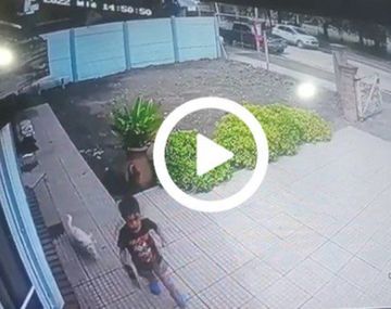 Robaron en un consultorio odontológico y un nene se salvó al salir corriendo con su perro
