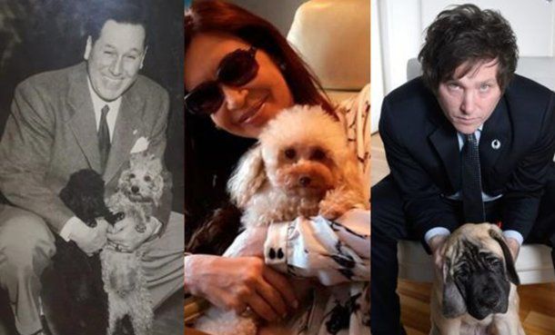 De los caniches de Perón a los mastines de Milei: uno por uno, los perros de cada presidente