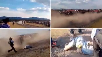 Un caballo mató a su dueño en plena carrera Un caballo mató a su dueño en plena carrera