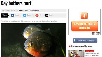 el ataque de las palometas de rosario recorre el mundo el ataque de las palometas de rosario recorre el mundo